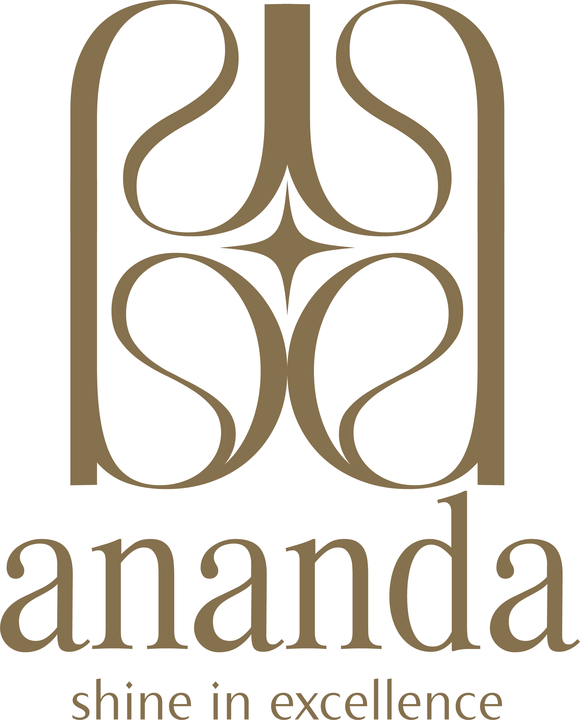 Logo Ananda Excellence